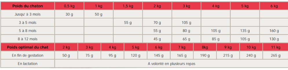 ration croquettes chaton